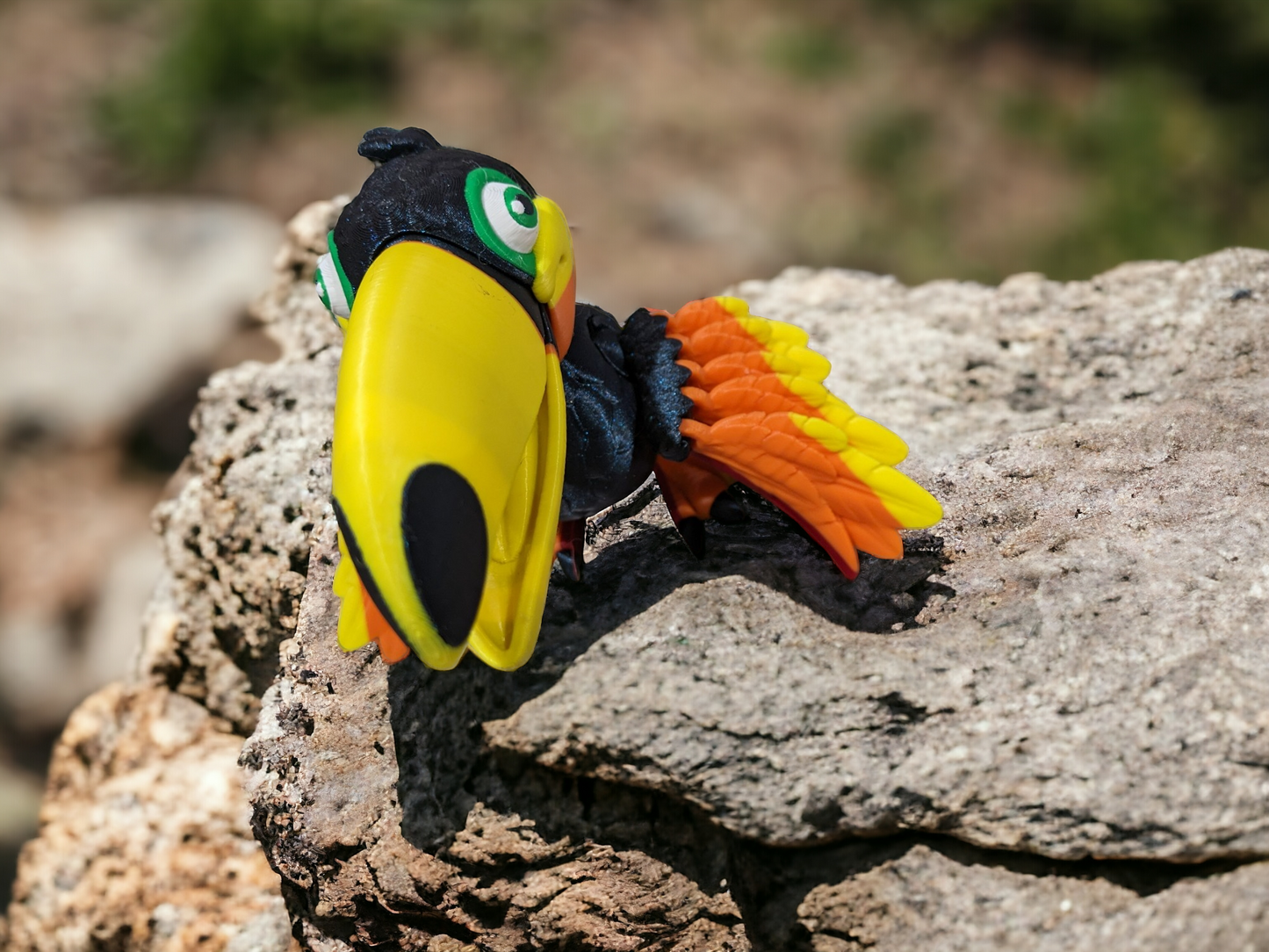 Toucan