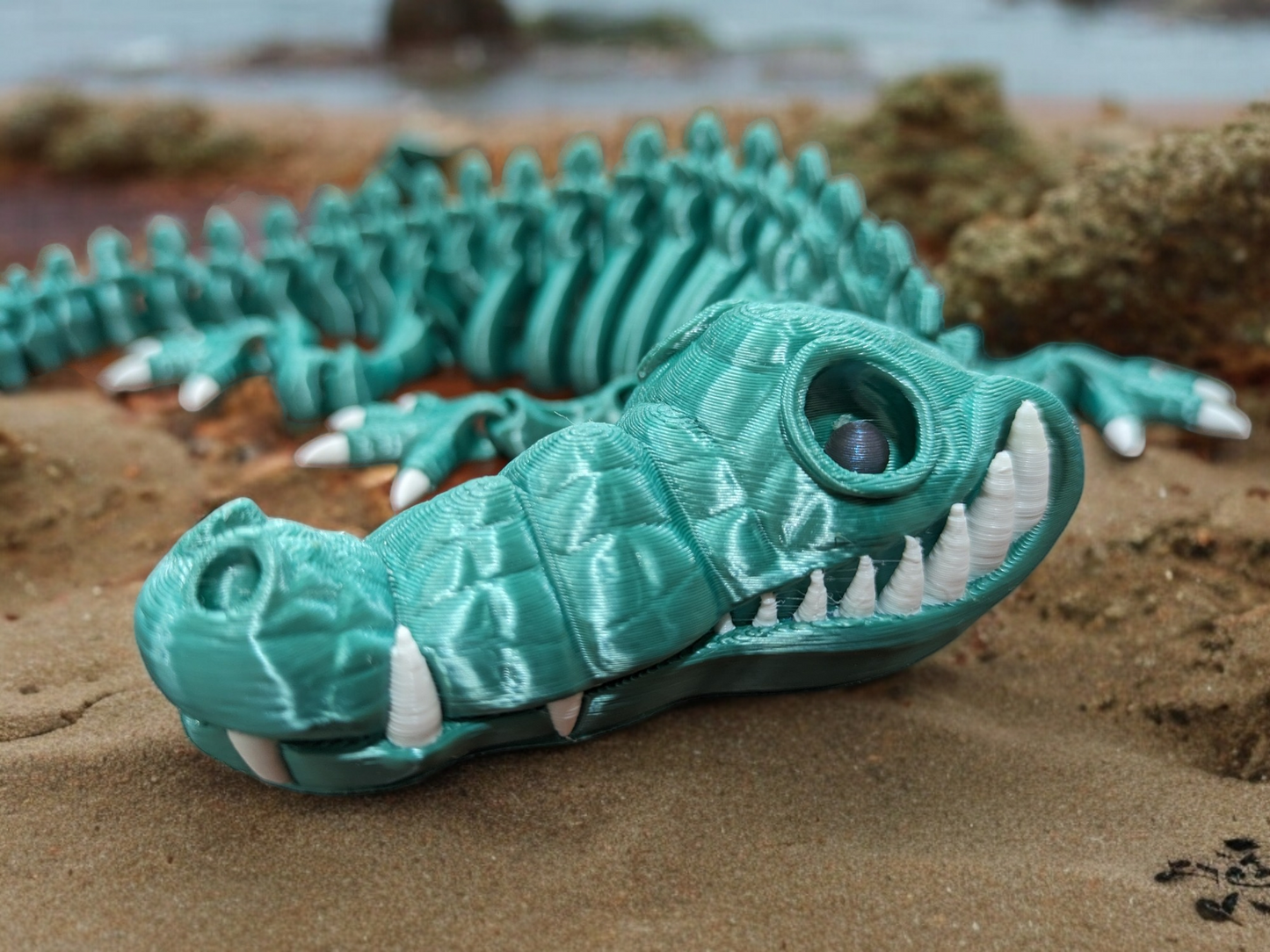 Alligator