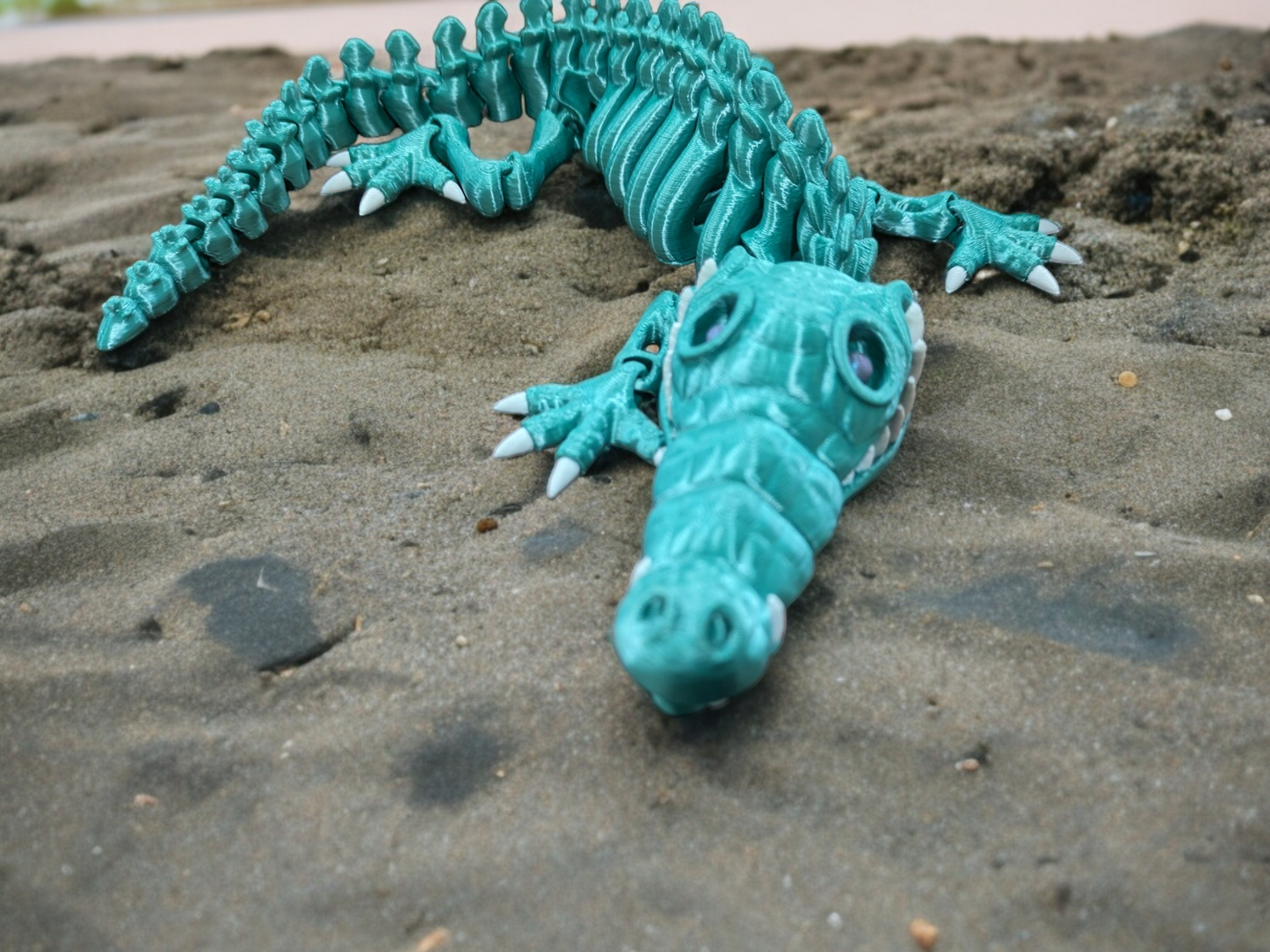 Alligator