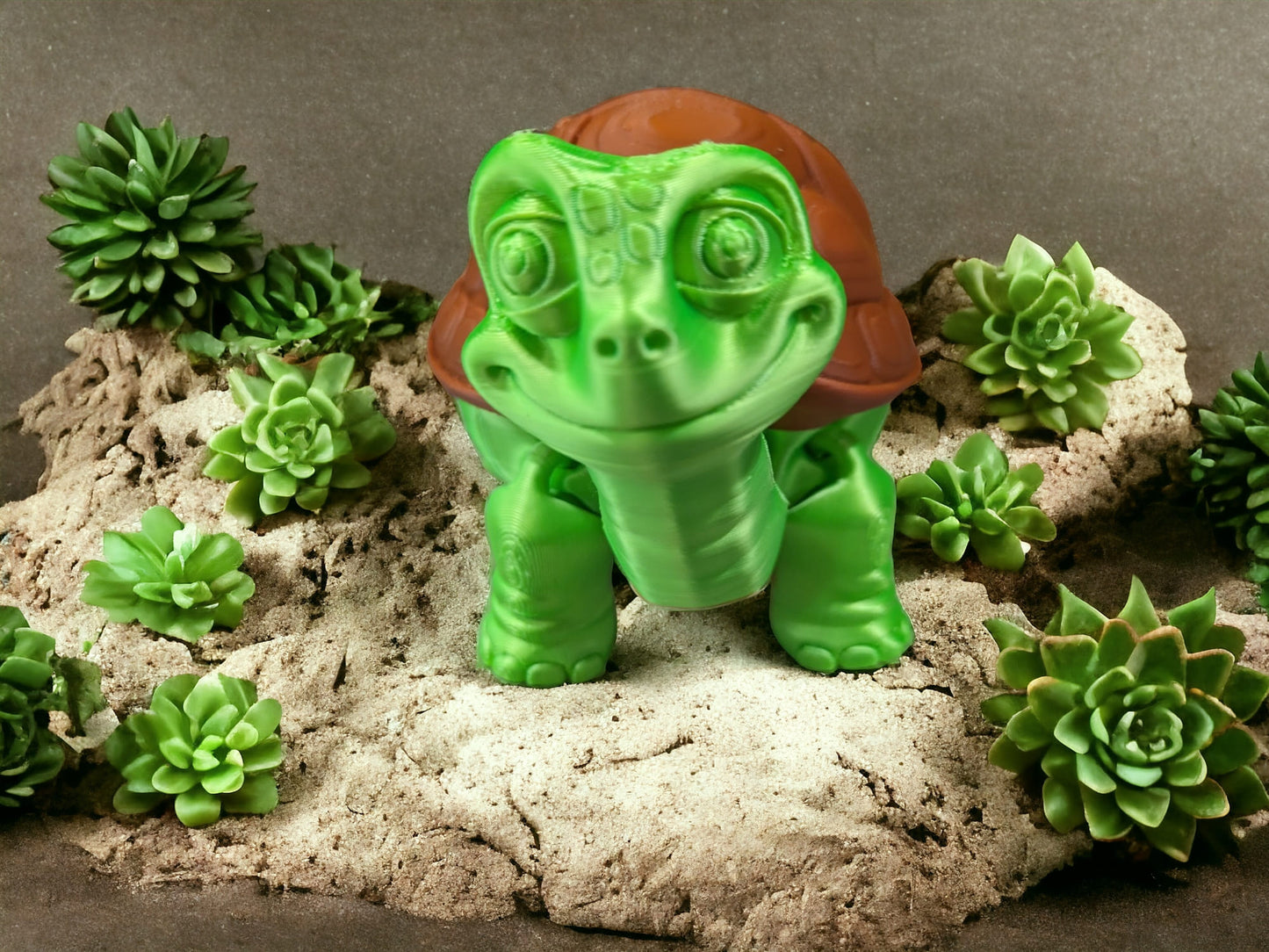 Turtle with Removable Shell