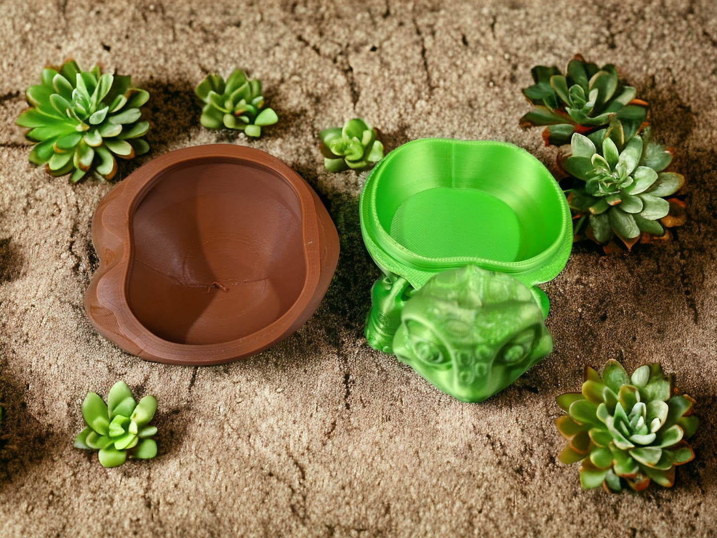 Turtle with Removable Shell