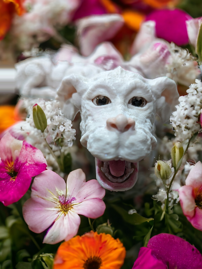 Falkor, The Luck Dragon