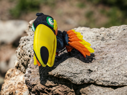 Toucan